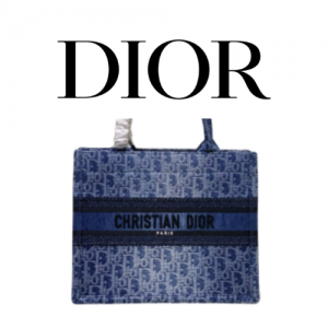 DIOR Book Tote 스몰 백