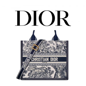 DIOR Book Tote 스몰 백