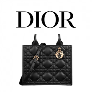 DIOR Book Tote 스몰 백