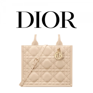 DIOR Book Tote 스몰 백