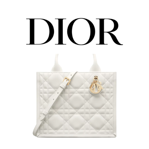 DIOR Book Tote 스몰 백