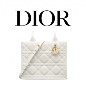 DIOR Book Tote 스몰 백