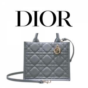 DIOR Book Tote 스몰 백