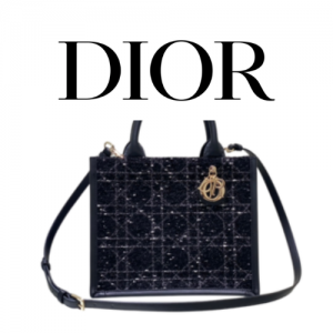 DIOR Book Tote 스몰 백