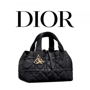 DIOR Toujours 스몰 백