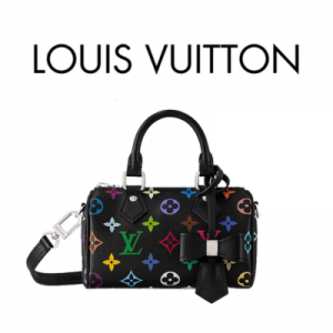 LOUIS VUITTON LV x TM 나노 스피디