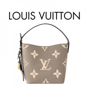LOUIS VUITTON 올 인 BB