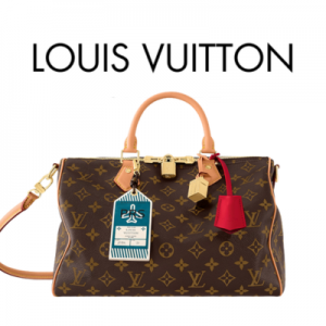 LOUIS VUITTON 스피디 소프트 30 크래프티