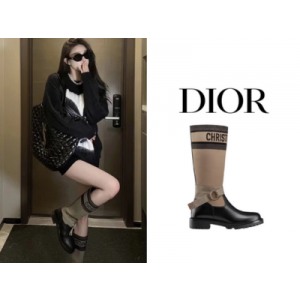 DIOR D-Major 나이트 부츠