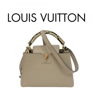 LOUIS VUITTON 카퓌신 BB