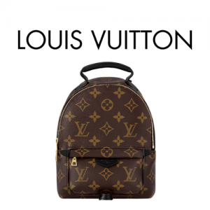 LOUIS VUITTON 팜 스프링스 미니