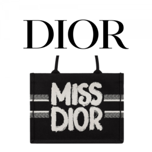 DIOR Book Tote 미디엄 백