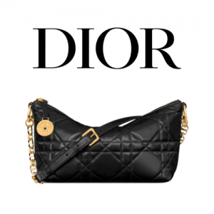 DIOR 스타 체인 숄더 호보백