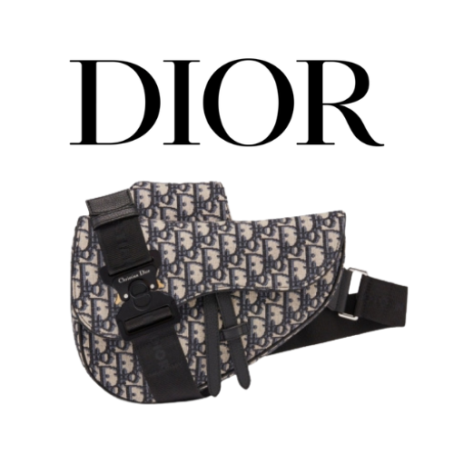DIOR Saddle 백