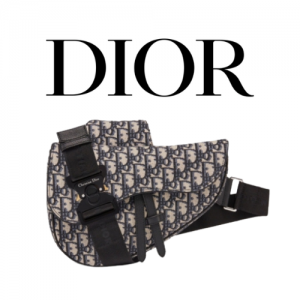 DIOR Saddle 백