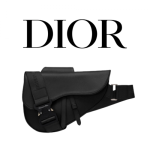 DIOR Saddle 백