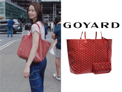 GOYARD 생루이백 GM