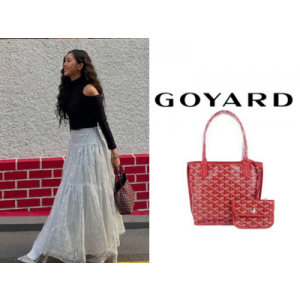 GOYARD 앙주백 미니
