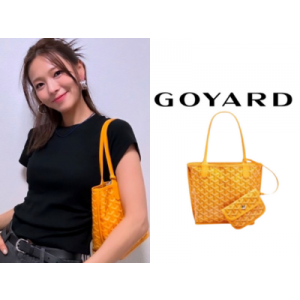 GOYARD 앙주백 미니
