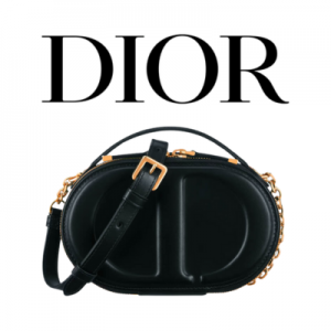 DIOR CD 시그니처 오벌 카메라백