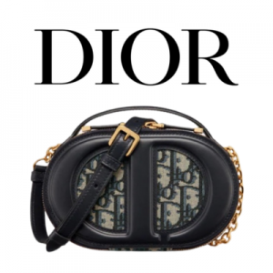 DIOR CD 시그니처 오벌 카메라백