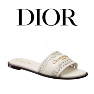 [225~265] DIOR D-Lane 뮬