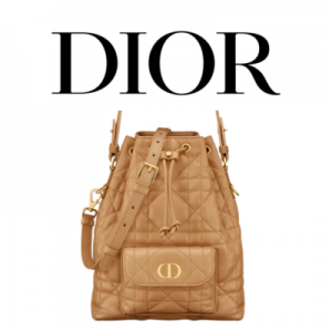 DIOR Caro 스몰 버킷백