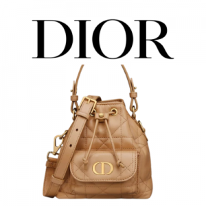 DIOR Caro 나노 버킷백