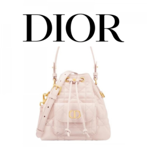 DIOR Caro 나노 버킷백