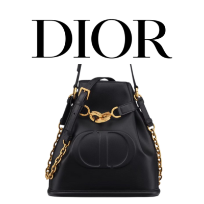 DIOR C'est Dior 미디엄 백