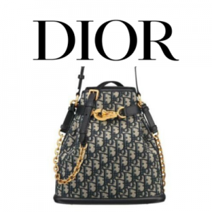 DIOR C'est Dior 미디엄 백