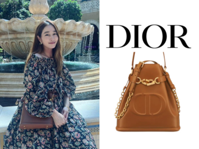 [이민정 PICK] DIOR C'est Dior 미디엄 백