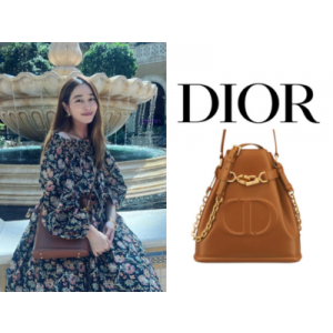 [이민정 PICK] DIOR C'est Dior 미디엄 백