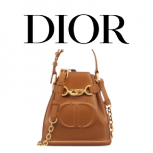 DIOR C'est Dior 스몰 백