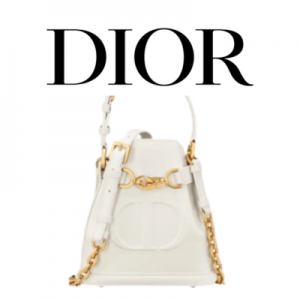 DIOR C'est Dior 스몰 백