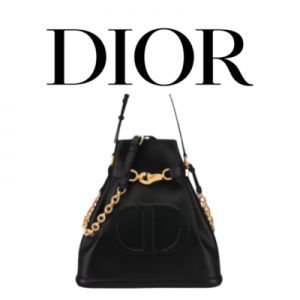 DIOR C'est Dior 스몰 백