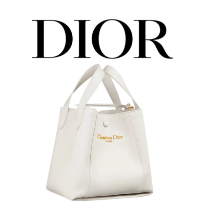 DIOR Signature 스몰 버킷백