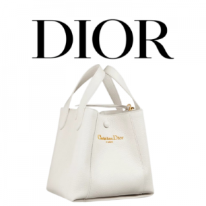 DIOR Signature 스몰 버킷백