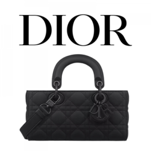 DIOR Lady D-Joy 스몰 백