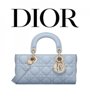 DIOR Lady D-Joy 스몰 백