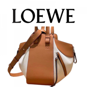 LOEWE 스몰 캔버스 해먹백